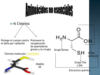5) Ácido Glutámico:Aminoácidos no esencialesActúa comoNeurotransmisor excitatorioSistema nervioso centralCerebroMédula espinalFórmula molecular: C5H9NO4Grupo carboxiloGrupo carboxiloGrupo amino Modelo    3DEstructura química