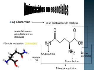 Aminoácidos no esenciales7) Glicina: mejoraAlmacenamiento de GlucógenoretardaDegeneración muscularFórmula molecular: C2H5NO2Estructura químicaModelo 3D
