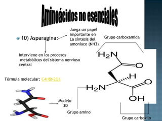 Aminoácidos no esencialesGrupo carboxiloGrupo amino11) Tirosina: Actúa como unElevador del humorAyuda a reducir la grasa corporalSuprime elapetitoFórmula molecular: C9H11NO3GrupoFenólico