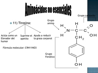Expresión génica y proteínasExpresión GénicaProcesoCodificaciónÁcidos NucleicosEs EspecíficaHousekeepingGenesGenes EspecíficosProteínasNO específicosUn gen es una receta para hacer una proteína concreta