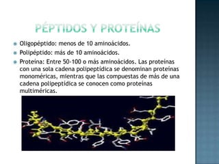 Péptidos y proteínasOligopéptido: menos de 10 aminoácidos.Polipéptido: más de 10 aminoácidos.Proteína: Entre 50-100 o más aminoácidos. Las proteínas con una sola cadena polipeptídica se denominan proteínas monoméricas, mientras que las compuestas de más de una cadena polipeptídica se conocen como proteínas multiméricas.