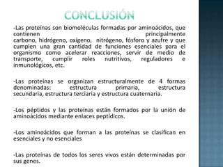 Conclusión-Las proteínas son biomoléculas formadas por aminoácidos, que contienen principalmente carbono, hidrógeno, oxígeno,  nitrógeno, fósforo y azufre y que cumplen una gran cantidad de funciones esenciales para el organismo como acelerar reacciones, servir de medio de transporte, cumplir roles nutritivos, reguladores e inmunológicos, etc.-Las proteínas se organizan estructuralmente de 4 formas denominadas: estructura primaria, estructura secundaria, estructura terciaria y estructura cuaternaria.-Los péptidos y las proteínas están formados por la unión de aminoácidos mediante enlaces peptídicos.-Los aminoácidos que forman a las proteínas se clasifican en esenciales y no esenciales -Las proteínas de todos los seres vivos están determinadas por sus genes.