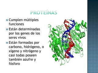 ProteínasCumplen múltiples funcionesEstán determinadas por los genes de los seres vivosEstán formadas por carbono, hidrógeno, oxígeno y nitrógeno y casi todas poseen también azufre y fósforo