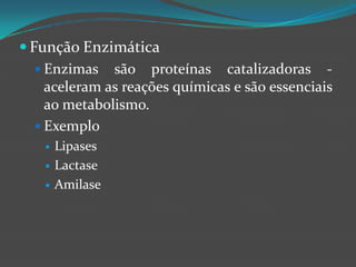 Função Enzimática Enzimas são proteínas catalizadoras - aceleram as reações químicas e são essenciais ao metabolismo.ExemploLipasesLactaseAmilase