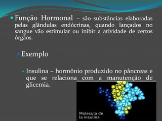 Função Hormonal – são substâncias elaboradas pelas glândulas endócrinas, quando lançados no sangue vão estimular ou inibir a atividade de certos órgãos.ExemploInsulina – hormônio produzido no pâncreas e que se relaciona com a manutenção de glicemia.