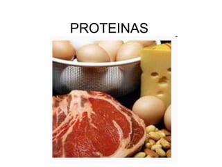 PROTEINAS
 