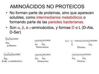 AMINOÁCIDOS NO PROTEICOS
• No forman parte de proteínas, sino que aparecen
solubles, como intermediarios metabólicos o
formando parte de las paredes bacterianas.
• Son  o -aminoácidos, y formas D o L (D-Ala,
D-Ser)
 