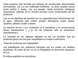 Cada proteína está formada por bloques de construcción denominados
aminoácidos. Los a.a son moléculas anfóteras; es decir, pueden actuar
como ácidos o bases. Los a.a poseen varias funciones biológicas
importantes, además de su función primaria como componentes de las
proteínas.
Las a.a se clasifican de acuerdo con su capacidad para interaccionar con
el agua. Utilizando este criterio pueden distinguirse cuatro clases:
apolares, polares, ácidos y bases.
La mayoría de los  a.a contienen un C asimétrico y en consecuencia
tienen enantiomeros L y D. En las proteínas solo se encuentran
enantiómeros L.
La variedad de las cadenas laterales en los a.a permiten que las
proteínas gocen de una gran versatilidad en cuanto a estructura.
Todas las proteínas son polipéptidos
Los polipéptidos son polímeros formados por a.a unidos por enlaces
peptidicos. El orden de los a.a en el Polipéptido se denomina secuencia
de a.a.
El enlace peptidico es casi planar.
 
