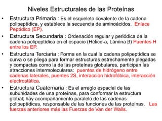 Niveles Estructurales de las Proteínas
• Estructura Primaria : Es el esqueleto covalente de la cadena
polipeptídica, y establece la secuencia de aminoácidos. Enlace
Peptídico (EP).
• Estructura Secundaria : Ordenación regular y periódica de la
cadena polipeptídica en el espacio (Hélice-a, Lámina β) Puentes H
entre los EP.
• Estructura Terciaria : Forma en la cual la cadena polipeptídica se
curva o se pliega para formar estructuras estrechamente plegadas
y compactas como la de las proteínas globulares, participan las
atracciones intermoleculares: puentes de hidrógeno entre
cadenas laterales, puentes 2S, interacción hidrofóbica, interacción
electrostática.
• Estructura Cuaternaria : Es el arreglo espacial de las
subunidades de una proteínas, para conformar la estructura
global; hay acompañamiento paralelo de las cadenas
polipeptídicas, responsable de las funciones de las proteínas. Las
fuerzas anteriores más las Fuerzas de Van der Walls.
 