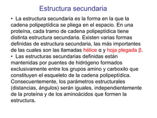 Estructura secundaria
• La estructura secundaria es la forma en la que la
cadena polipeptídica se pliega en el espacio. En una
proteína, cada tramo de cadena polipeptídica tiene
distinta estructura secundaria. Existen varias formas
definidas de estructura secundaria, las más importantes
de las cuales son las llamadas hélice α y hoja plegada β.
• Las estructuras secundarias definidas están
mantenidas por puentes de hidrógeno formados
exclusivamente entre los grupos amino y carboxilo que
constituyen el esqueleto de la cadena polipeptídica.
Consecuentemente, los parámetros estructurales
(distancias, ángulos) serán iguales, independientemente
de la proteína y de los aminoácidos que formen la
estructura.
 