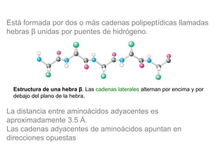 Está formada por dos o más cadenas polipeptídicas llamadas
hebras β unidas por puentes de hidrógeno.
La distancia entre aminoácidos adyacentes es
aproximadamente 3.5 Å.
Las cadenas adyacentes de aminoácidos apuntan en
direcciones opuestas
Estructura de una hebra β. Las cadenas laterales alternan por encima y por
debajo del plano de la hebra.
 