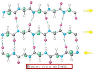 Estructura de una hoja β mixta
 