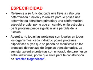 ESPECIFICIDAD
• Referente a su función; cada una lleva a cabo una
determinada función y lo realiza porque posee una
determinada estructura primaria y una conformación
espacial propia; por lo que un cambio en la estructura
de la proteína puede significar una pérdida de la
función.
• Además, no todas las proteínas son iguales en todos
los organismos, cada individuo posee proteínas
específicas suyas que se ponen de manifiesto en los
procesos de rechazo de órganos transplantados. La
semejanza entre proteínas son un grado de parentesco
entre individuos, por lo que sirve para la construcción
de "árboles filogenéticos”.
 