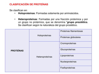 CLASIFICACIÓN DE PROTEÍNAS
Se clasifican en:
• Holoproteínas: Formadas solamente por aminoácidos.
• Heteroproteínas: Formadas por una fracción proteínica y por
un grupo no proteínico, que se denomina "grupo prostético.
Se clasifican según la naturaleza del grupo prostético.
62
PROTEÍNAS
Holoproteínas
Proteínas filamentosas
Proteínas globulares
Heteroproteínas
Cromoproteínas
Glucoproteínas
Lipoproteínas
Nucleoproteínas
Fosfoproteínas
 