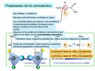 Propiedades de los aminoácidos
Son sólidos y cristalinos
Elevado punto de fusión y solubles en agua
Con actividad óptica (...