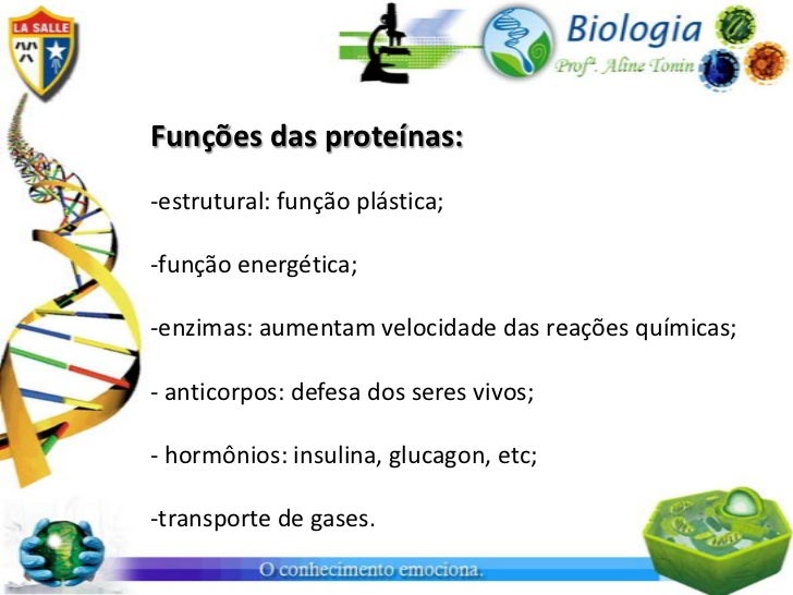 Conheça As Funções Das Proteínas – MVFGU