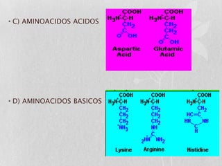 • C) AMINOACIDOS ACIDOS




• D) AMINOACIDOS BASICOS
 