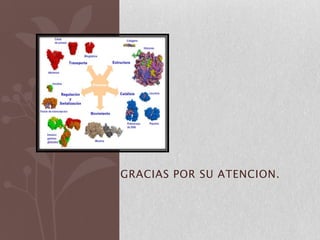 GRACIAS POR SU ATENCION.
 
