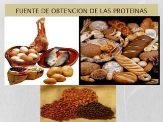 FUENTE DE OBTENCION DE LAS PROTEINAS
 