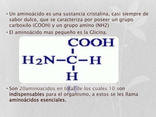 • Un aminoácido es una sustancia cristalina, casi siempre de
  sabor dulce, que se caracteriza por poseer un grupo
  carboxilo (COOH) y un grupo amino (NH2)
• El aminoácido mas pequeño es la Glicina.




• Son 20aminoacidos en total de los cuales 10 son
  indispensables para el organismo, a estos se les llama
  aminoácidos esenciales.
 