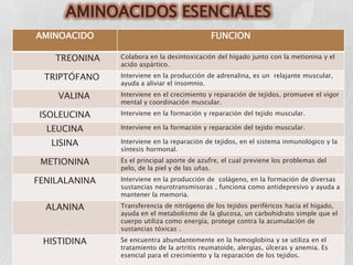 AMINOACIDOS ESENCIALES
AMINOACIDO                                   FUNCION

    TREONINA   Colabora en la desintoxicación del hígado junto con la metionina y el
               acido aspártico.

 TRIPTÓFANO    Interviene en la producción de adrenalina, es un relajante muscular,
               ayuda a aliviar el insomnio.

    VALINA     Interviene en el crecimiento y reparación de tejidos, promueve el vigor
               mental y coordinación muscular.

 ISOLEUCINA    Interviene en la formación y reparación del tejido muscular.

  LEUCINA      Interviene en la formación y reparación del tejido muscular.

   LISINA      Interviene en la reparación de tejidos, en el sistema inmunológico y la
               síntesis hormonal.

 METIONINA     Es el principal aporte de azufre, el cual previene los problemas del
               pelo, de la piel y de las uñas.

FENILALANINA   Interviene en la producción de colágeno, en la formación de diversas
               sustancias neurotransmisoras , funciona como antidepresivo y ayuda a
               mantener la memoria.

  ALANINA      Transferencia de nitrógeno de los tejidos periféricos hacia el hígado,
               ayuda en el metabolismo de la glucosa, un carbohidrato simple que el
               cuerpo utiliza como energía, protege contra la acumulación de
               sustancias tóxicas .

 HISTIDINA     Se encuentra abundantemente en la hemoglobina y se utiliza en el
               tratamiento de la artritis reumatoide, alergias, úlceras y anemia. Es
               esencial para el crecimiento y la reparación de los tejidos.
 