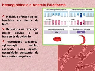 Hemoglobina e a Anemia Falciforme


 Indivíduo afetado possui
hemácias em forma de
foice.
 Deficiência na circulação
dessas    células   e    no
transporte de oxigênio.
 Viscosidade sanguínea,
aglomeração         celular,
coágulos, dores agudas,
necessidade constante de
transfusões sanguíneas.
 