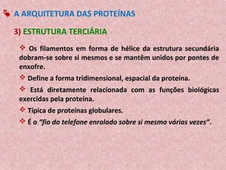  A ARQUITETURA DAS PROTEÍNAS

  3) ESTRUTURA TERCIÁRIA
    Os filamentos em forma de hélice da estrutura secundária
   dobram-se sobre si mesmos e se mantêm unidos por pontes de
   enxofre.
    Define a forma tridimensional, espacial da proteína.
    Está diretamente relacionada com as funções biológicas
   exercidas pela proteína.
    Típica de proteínas globulares.
    É o “fio do telefone enrolado sobre si mesmo várias vezes”.
 