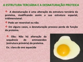 A ESTRUTURA TERCIÁRIA E A DESNATURAÇÃO PROTEICA
  A desnaturação é uma alteração da estrutura terciária da
 proteína, modificando assim a sua estrutura espacial,
 tridimensional.
  Pode ser reversível ou não.
  Em alguns casos, a desnaturação provoca perda de função
 da proteína.

   Obs: Não há alteração da
  sequência      de     aminoácidos
  (estrutura primária) da proteína.
  Ex.: clara do ovo aquecida
 