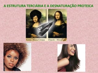 A ESTRUTURA TERCIÁRIA E A DESNATURAÇÃO PROTEICA
 