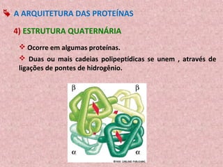  A ARQUITETURA DAS PROTEÍNAS

  4) ESTRUTURA QUATERNÁRIA
    Ocorre em algumas proteínas.
    Duas ou mais cadeias polipeptídicas se unem , através de
   ligações de pontes de hidrogênio.
 