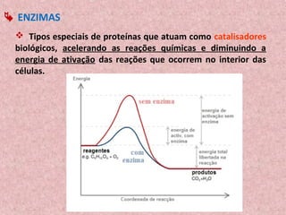  ENZIMAS
  Tipos especiais de proteínas que atuam como catalisadores
 biológicos, acelerando as reações químicas e diminuindo a
 energia de ativação das reações que ocorrem no interior das
 células.
 