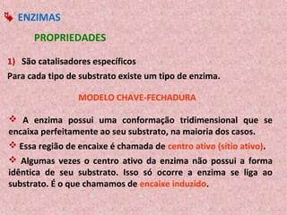  ENZIMAS
      PROPRIEDADES

1) São catalisadores específicos
Para cada tipo de substrato existe um tipo de enzima.

                 MODELO CHAVE-FECHADURA

 A enzima possui uma conformação tridimensional que se
encaixa perfeitamente ao seu substrato, na maioria dos casos.
 Essa região de encaixe é chamada de centro ativo (sítio ativo).
 Algumas vezes o centro ativo da enzima não possui a forma
idêntica de seu substrato. Isso só ocorre a enzima se liga ao
substrato. É o que chamamos de encaixe induzido.
 