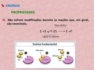  ENZIMAS
      PROPRIEDADES

2) Não sofrem modificações durante as reações que, em geral,
   são reversíveis.
 