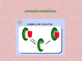 ATIVAÇÃO ENZIMÁTICA
 