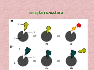 INIBIÇÃO ENZIMÁTICA
 