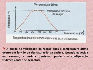  A queda na velocidade da reação após a temperatura ótima
ocorre em função da desnaturação da enzima. Quando aquecida
em excesso, a enzima (proteína) perde sua configuração
tridimensional e se desnatura.
 