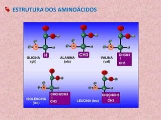  ESTRUTURA DOS AMINOÁCIDOS
 