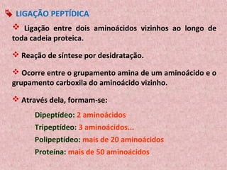  LIGAÇÃO PEPTÍDICA
  Ligação entre dois aminoácidos vizinhos ao longo de
 toda cadeia proteica.

  Reação de síntese por desidratação.

  Ocorre entre o grupamento amina de um aminoácido e o
 grupamento carboxila do aminoácido vizinho.

  Através dela, formam-se:
       Dipeptídeo: 2 aminoácidos
       Tripeptídeo: 3 aminoácidos...
       Polipeptídeo: mais de 20 aminoácidos
       Proteína: mais de 50 aminoácidos
 