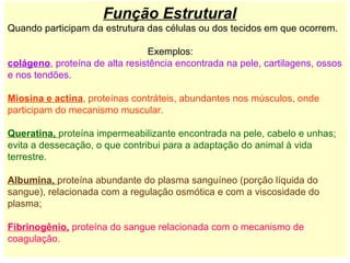 Função Estrutural
Quando participam da estrutura das células ou dos tecidos em que ocorrem.

                                Exemplos:
colágeno, proteína de alta resistência encontrada na pele, cartilagens, ossos
e nos tendões.

Miosina e actina, proteínas contráteis, abundantes nos músculos, onde
participam do mecanismo muscular.

Queratina, proteína impermeabilizante encontrada na pele, cabelo e unhas;
evita a dessecação, o que contribui para a adaptação do animal à vida
terrestre.

Albumina, proteína abundante do plasma sanguíneo (porção líquida do
sangue), relacionada com a regulação osmótica e com a viscosidade do
plasma;

Fibrinogênio, proteína do sangue relacionada com o mecanismo de
coagulação.
 