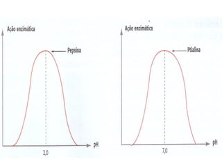 Proteínas - Biologia