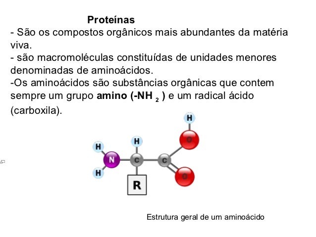 Proteínas - Biologia