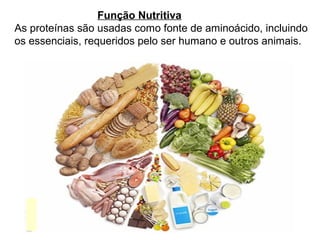 Função Nutritiva
As proteínas são usadas como fonte de aminoácido, incluindo
os essenciais, requeridos pelo ser humano e outros animais.
 