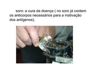 soro: a cura da doença ( no soro já contem
os anticorpos necessários para a inativação
dos antígenos).
 