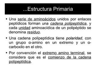 ...Estructura Primaria Una  serie de aminoácidos  unidos por enlaces peptídicos forman una  cadena polipeptídica , y cada  unidad  aminoacídica de un polipéptido se denomina  residuo . Una cadena polipeptídica tiene  polaridad , con un grupo  α -amino en un extremo y un  α -carboxilo en el otro. Por convención el  extremo amino terminal , se considera que es el  comienzo de la cadena polipeptídica . 