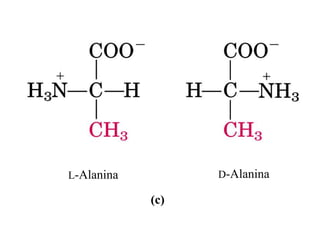 L-Alanina D-Alanina
(c)
 