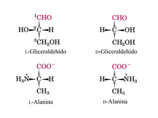 L-Gliceraldehído D-Gliceraldehído
L-Alanina D-Alanina
 