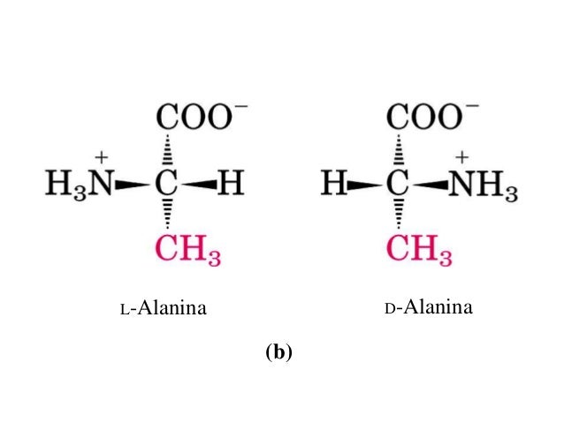 Risultati immagini per D-alanina e L-alanina