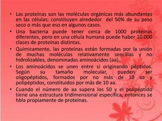 • Las proteínas son las moléculas orgánicas más abundantes
en las células; constituyen alrededor del 50% de su peso
seco o más que eso en algunos casos.
• Una bacteria puede tener cerca de 1000 proteínas
diferentes, pero en una célula humana puede haber 10.000
clases de proteínas distintas.
• Químicamente, las proteínas están formadas por la unión
de muchas moléculas relativamente sencillas y no
hidrolizables, denominadas aminoácidos (aa).
• Los aminoácidos se unen entre sí originando péptidos.
Según su tamaño molecular, pueden ser
oligopéptidos, formados por no más de 10 aa y
polipéptidos, constituidos por más de 10 aa.
• Cuando el número de aa supera los 50 y el polipéptido
tiene una estructura tridimensional específica, entonces se
hbla propiamente de proteínas.
 