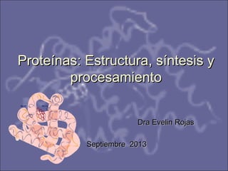 Dra Evelin RojasDra Evelin Rojas
Septiembre 2013Septiembre 2013
Proteínas: Estructura, síntesis yProteínas: Estructura, síntesis y
procesamientoprocesamiento
 