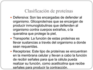Clasificación de proteínas
 Defensiva: Son las encargadas de defender al
organismo. Glicoproteínas que se encargan de
pro...